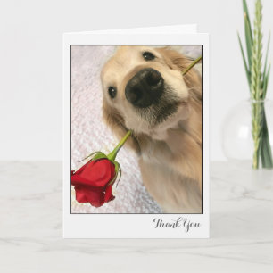 Golden Retriever Dog With Red Rose Thank You Card