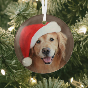 Golden Retriever Dog With Red Santa Hat Glass Orna Tree Decoration