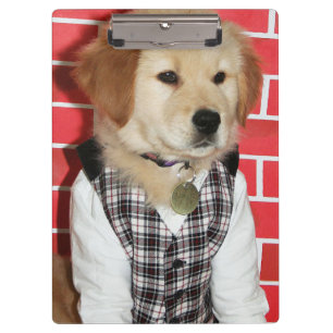 Golden Retriever Dressed Up Puppy Clipboard