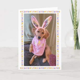 Golden Retriever Easter Card