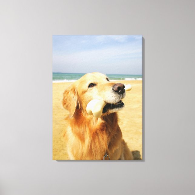 Golden Retriever eating bone Canvas Print (Front)