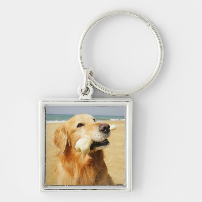 Golden Retriever eating bone Key Ring (Front)