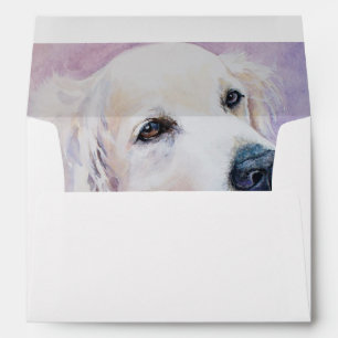 Golden retriever envelope