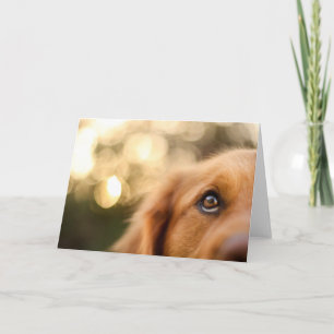 Golden Retriever Eye Closeup Card