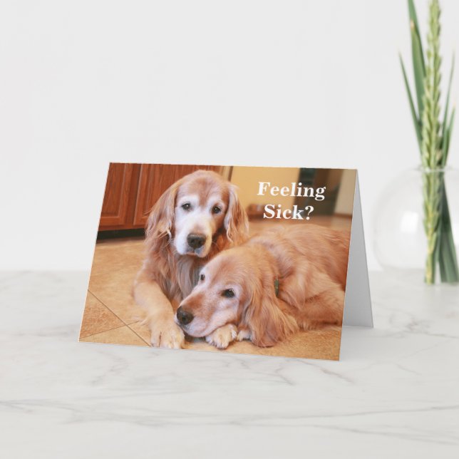 Golden Retriever Feeling Sick Get Well Card (Front)