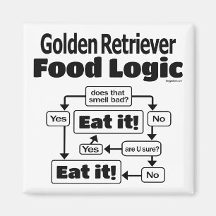Golden Retriever Food Logic Magnet