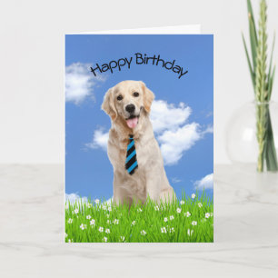 Golden Retriever For Birthday Card