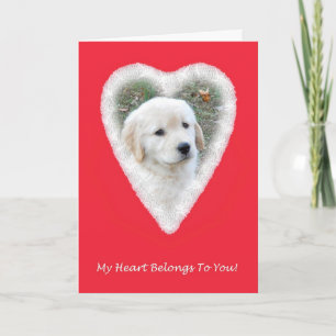 Golden Retriever Funny Valentine's Day Card