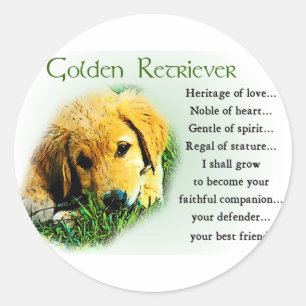 Golden Retriever Gifts Classic Round Sticker