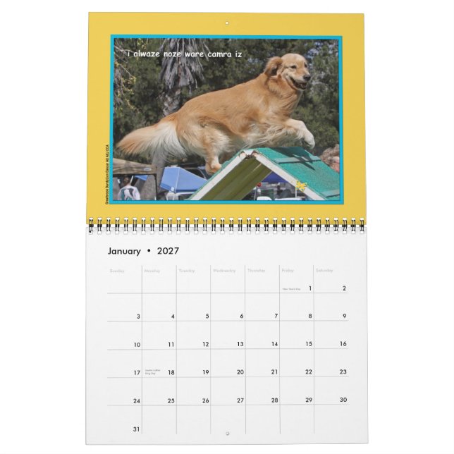Golden Retriever "Goldens Rule" 12-month Calendar (Jan 2027)