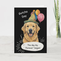 Golden Retriever Gotcha Day Celebration