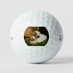 golden retriever group golf balls