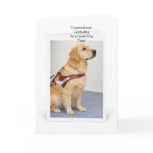Golden Retriever Guide Dog Graduation