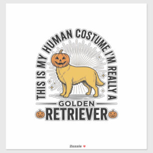 Golden Retriever Halloween Pumpkin Costume Design_