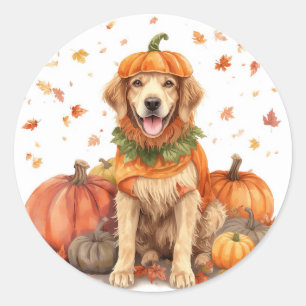 Golden Retriever Halloween Pumpkin Fall Classic Round Sticker