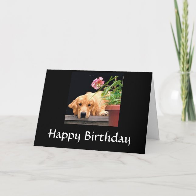 Golden Retriever Happy Birthday Card (Front)