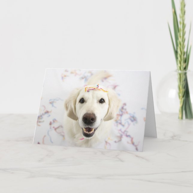 Golden Retriever Happy Birthday Greeting Card (Front)