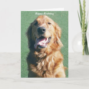 Golden Retriever Happy Birthday Greeting Card