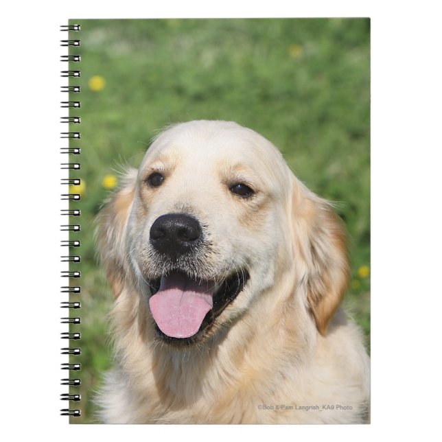 Golden Retriever Headshot 1 Spiral Notebook (Front)