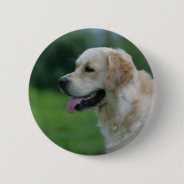 Golden Retriever Headshot 2 2 6 Cm Round Badge (Front)