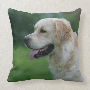 Golden Retriever Headshot 2 2 Cushion