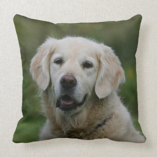 Golden Retriever Headshot 2 Cushion