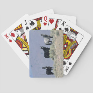 Golden Retriever Headshot 3 Deck Of C - Customised Playing Cards