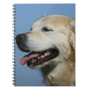 Golden Retriever Headshot 4 Spiral Notebook