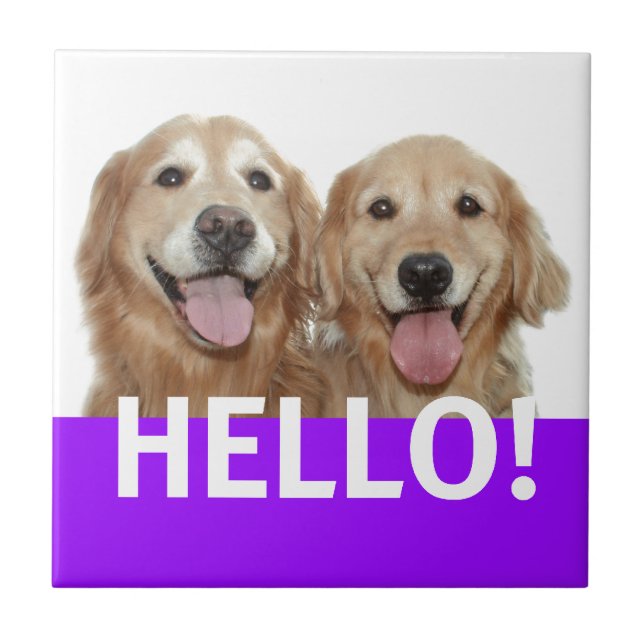 Golden Retriever Hello Tile (Front)