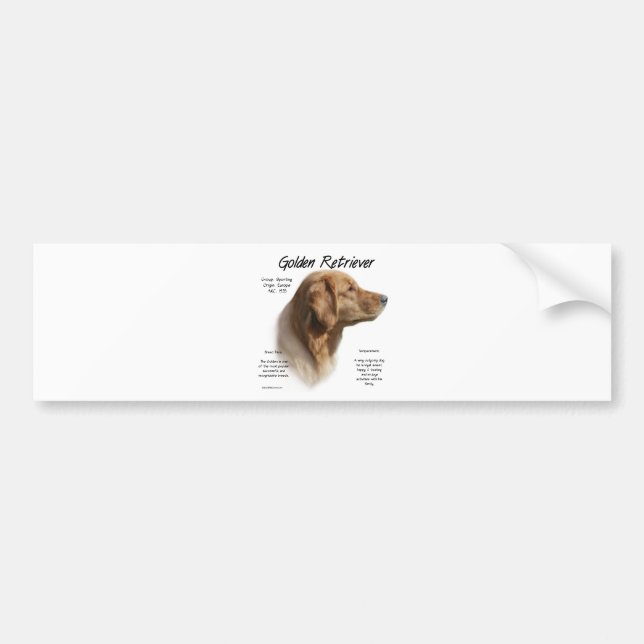 Golden Retriever History Design Bumper Sticker (Front)