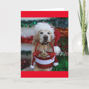 Golden Retriever holding a Christmas Basket Holiday Card
