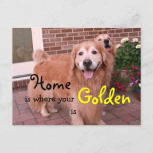 Golden Retriever Home Quote Postcard