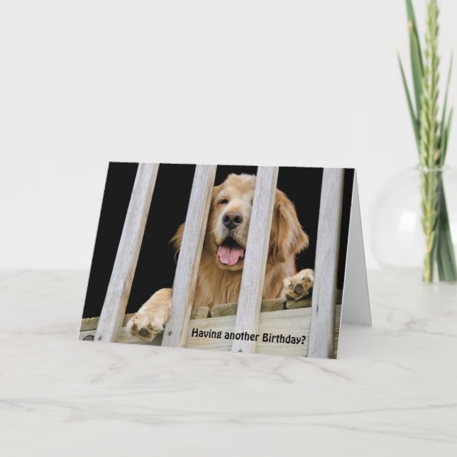 Golden Retriever Humourous Birthday Card (Front)