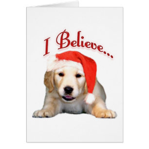 Golden Retriever I Believe