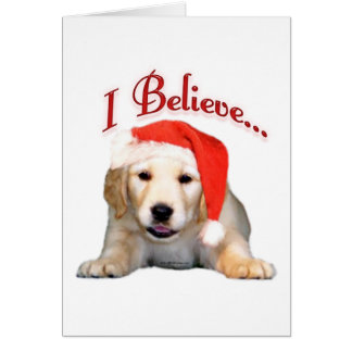 Golden Retriever I Believe