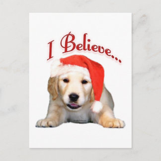 Golden Retriever I Believe Postcard