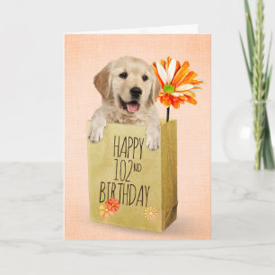 Golden Retriever in 102nd Birthday Bag Card