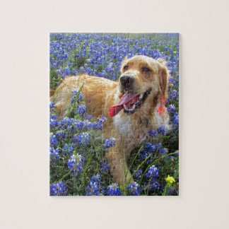 Golden Retriever in Blue Bonnets Jigsaw Puzzle