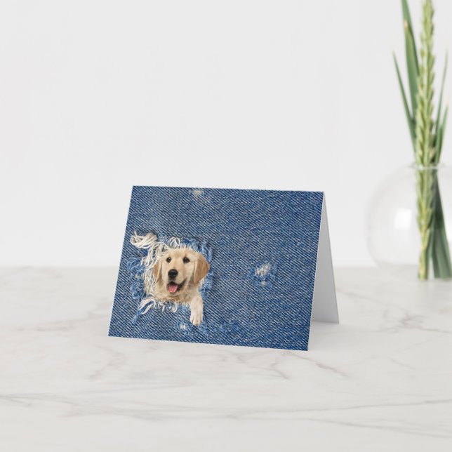 Golden Retriever In Denim Hole Note Card (Front)
