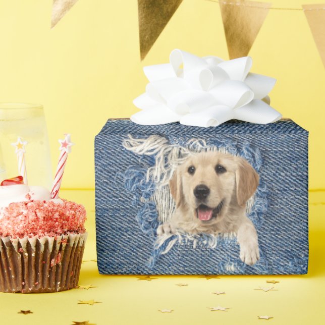 Golden retriever in frayed blue jean hole wrapping paper (Birthday Party)