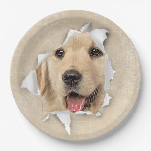 Golden Retriever in Paper Hole Paper Plate