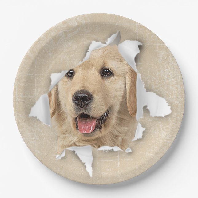 Golden Retriever in Paper Hole Plate (Front)