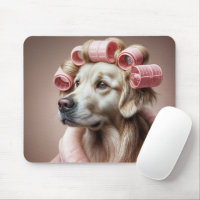 Golden Retriever In Pink Hair Curlers