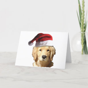 Golden Retriever In Santa Hat Holiday Card