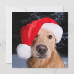 Golden Retriever in Santa Hat Holiday Card