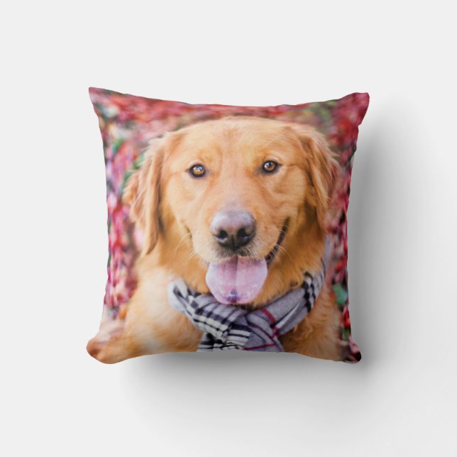 Golden Retriever In Scarf Cushion (Front)