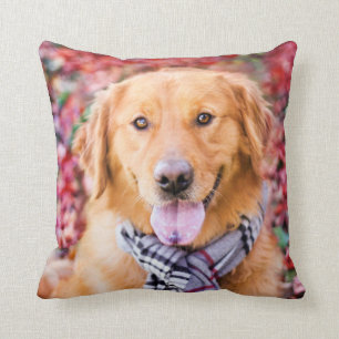 Golden Retriever In Scarf Cushion