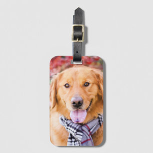Golden Retriever In Scarf Luggage Tag