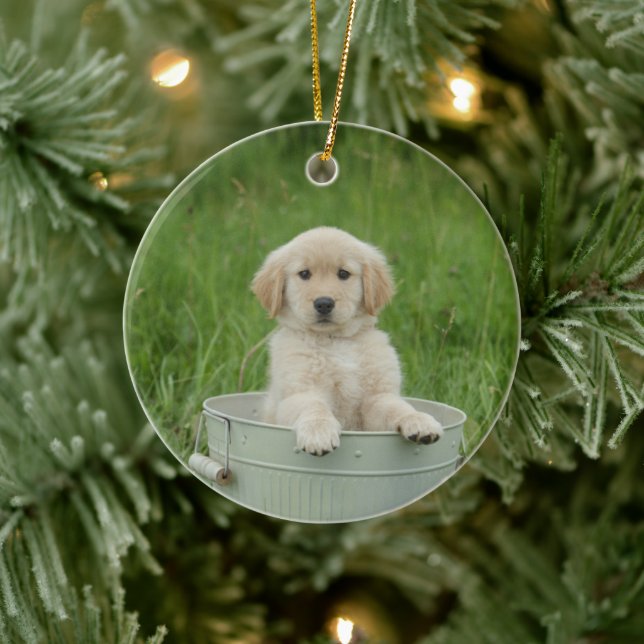 Golden Retriever In Wash Basin Ceramic Tree Decoration (Tree)