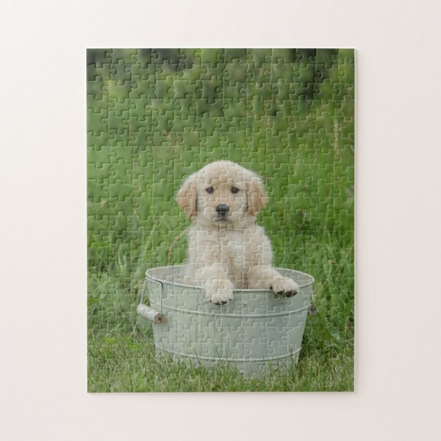 Golden Retriever In Wash Basin Jigsaw Puzzle (Vertical)